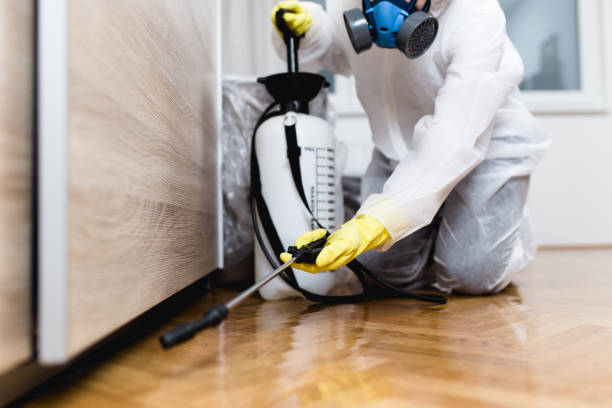 Best Local Pest Control Services  in St Jaco, IL