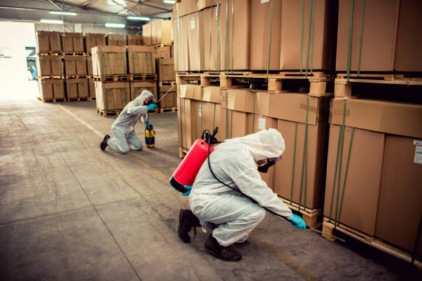 Best Rat Extermination Near Me  in St Jaco, IL