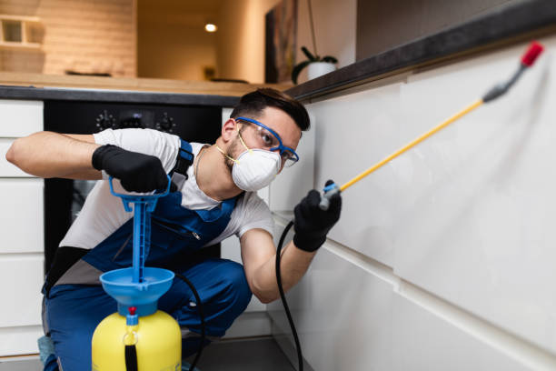 Best Best Pest Control Companies  in St Jaco, IL