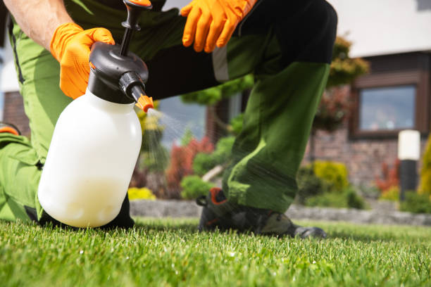 Best Pest Removal Services  in St Jaco, IL