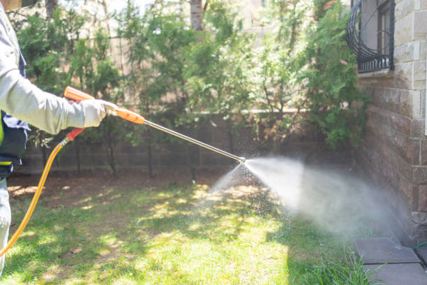 Best Best Pest Control Companies  in St Jaco, IL