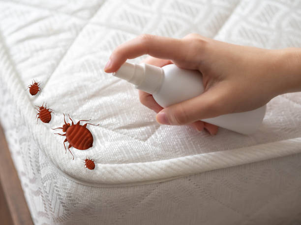 Best Affordable Pest Control Services  in St Jaco, IL