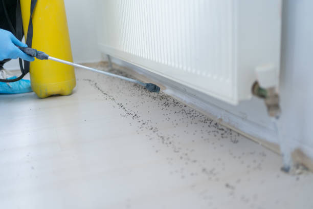 Best Exterminator Services  in St Jaco, IL