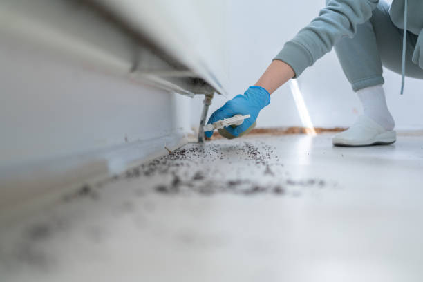 Best Residential Pest Control  in St Jaco, IL
