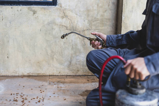 Best Pest Prevention Services  in St Jaco, IL