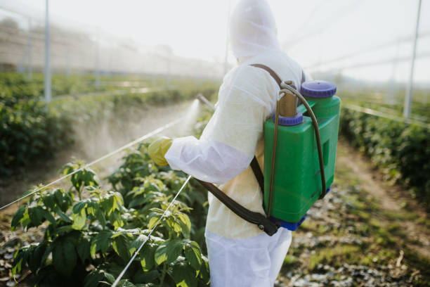 Best Pest Control Near Me  in St Jaco, IL